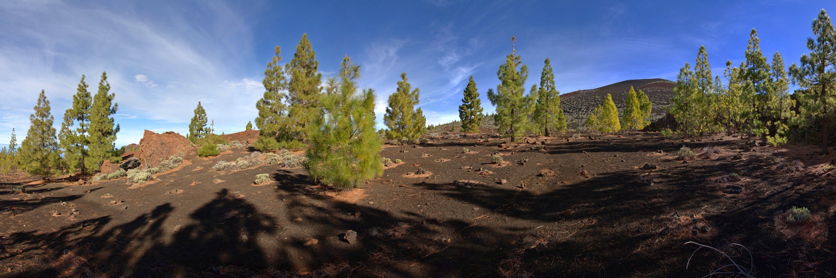 Ombres décalées