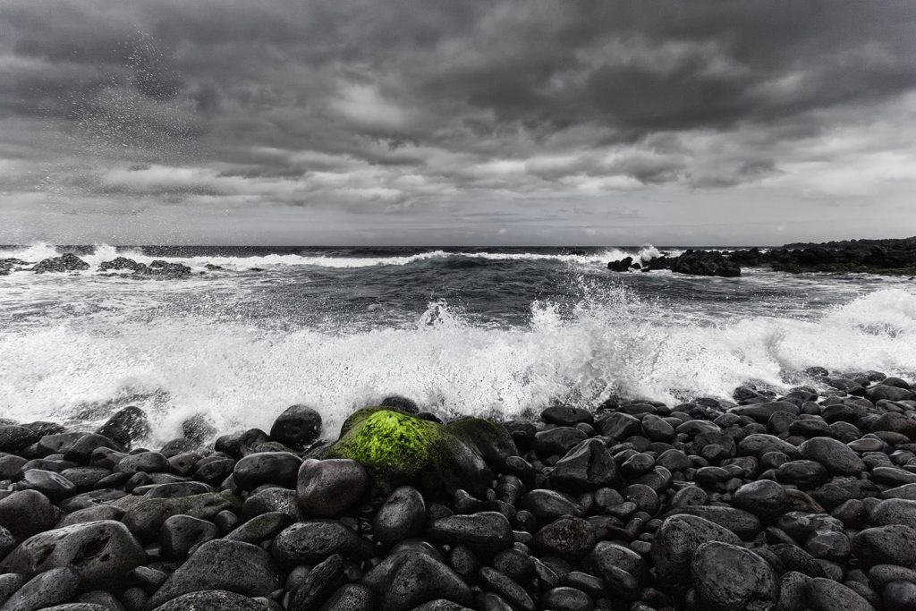 Une touche de vert