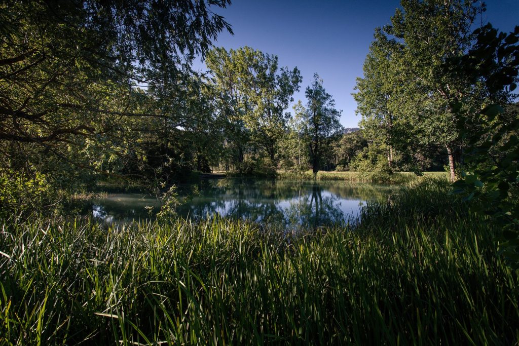 Petit déjeuner sur l’herbe