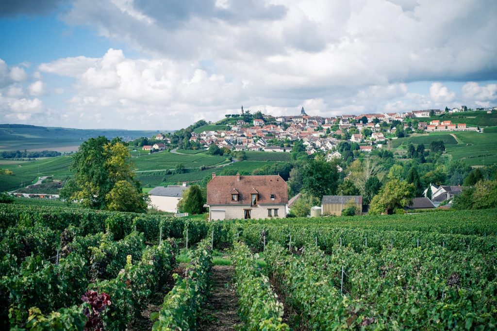 Au pays du Champagne