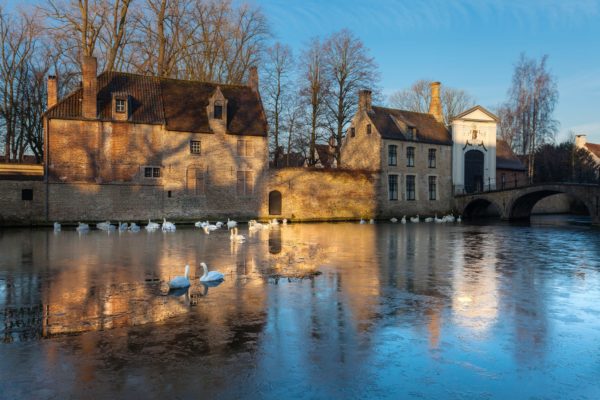 Le Lac des Cygnes