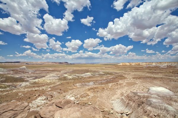 Petrified Forest