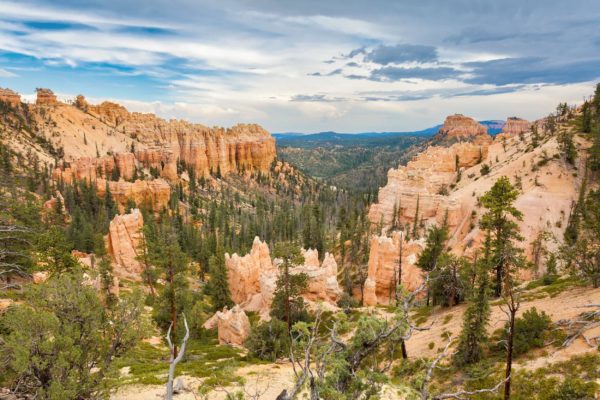 Bryce Canyon