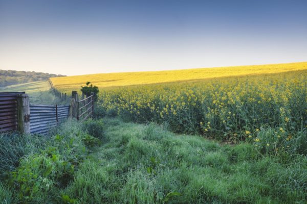 Colorier la Campagne