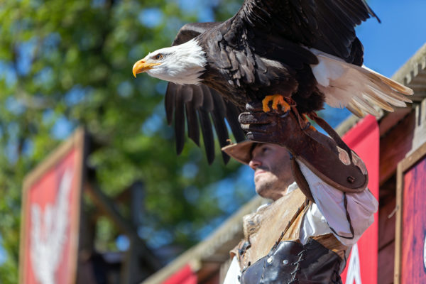 Visite du Puy du Fou